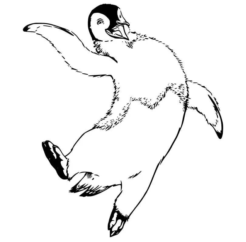 Happy Feet Ausmalbilder 6