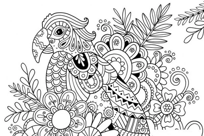 Hard Coloring Pages 10