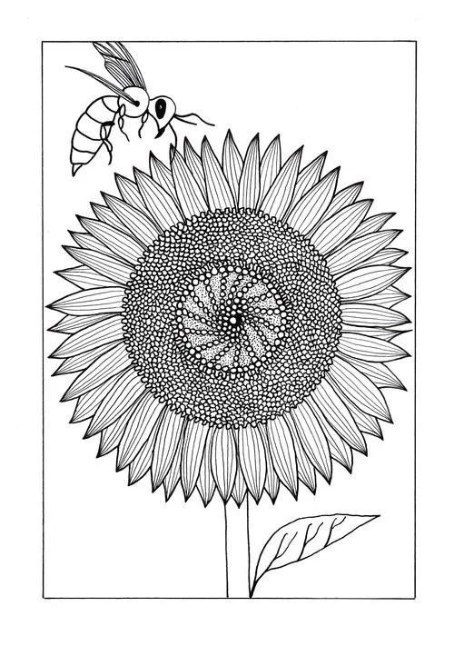 Hard Coloring Pages 104