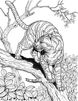 Hard Coloring Pages 15