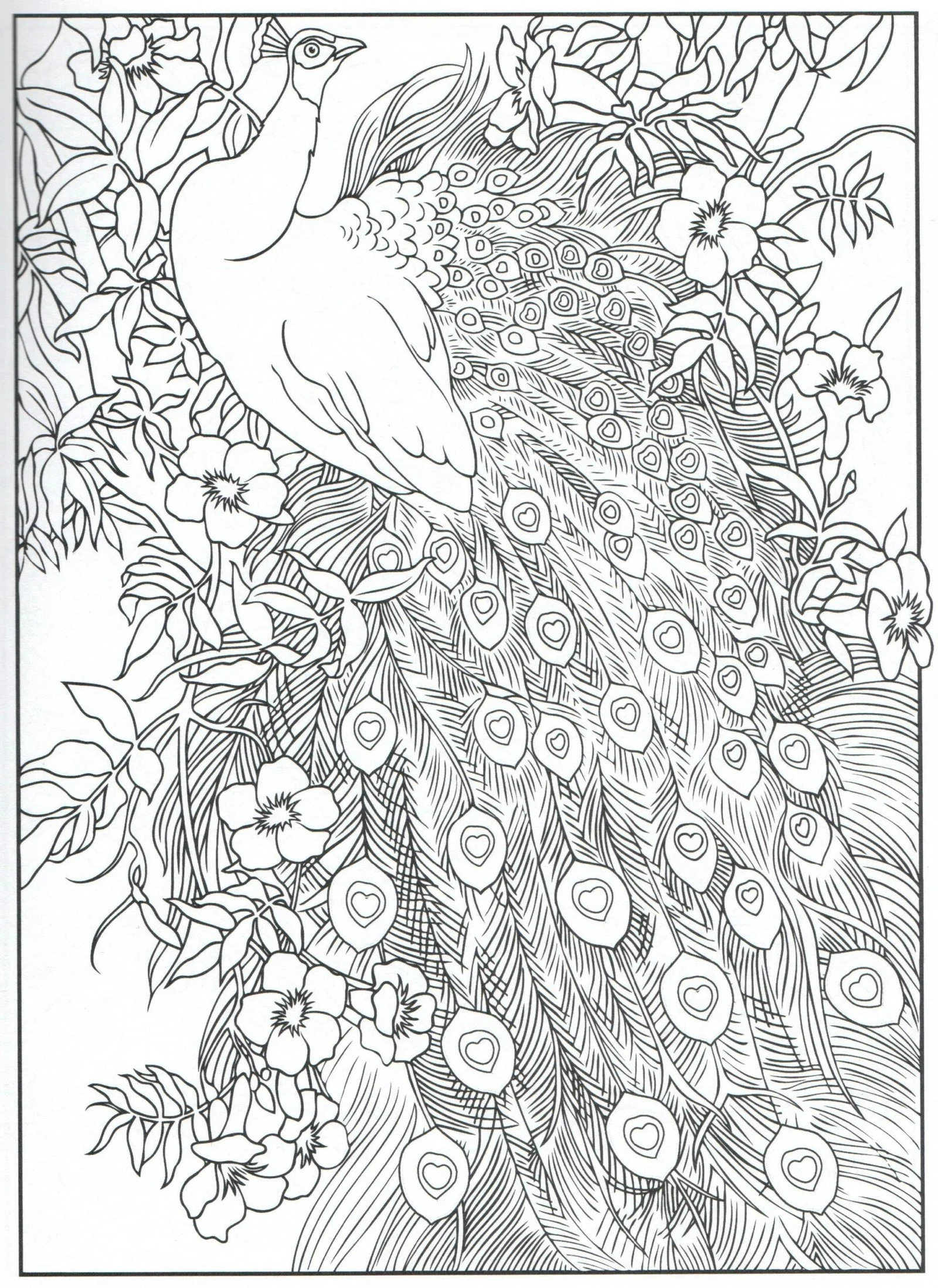 Hard Coloring Pages 36
