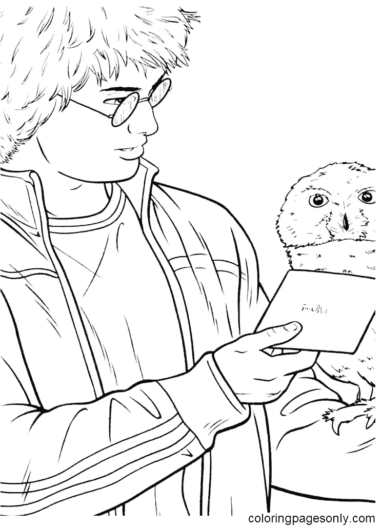 Desenhos de Harry Potter Para Colorir 23