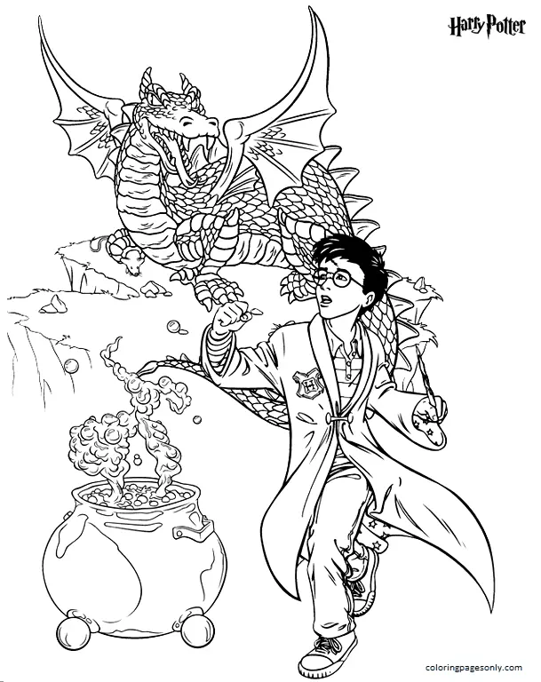 Desenhos de Harry Potter Para Colorir 25