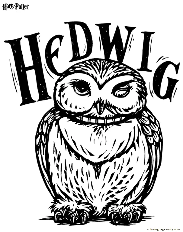 Desenhos de Harry Potter Para Colorir 27