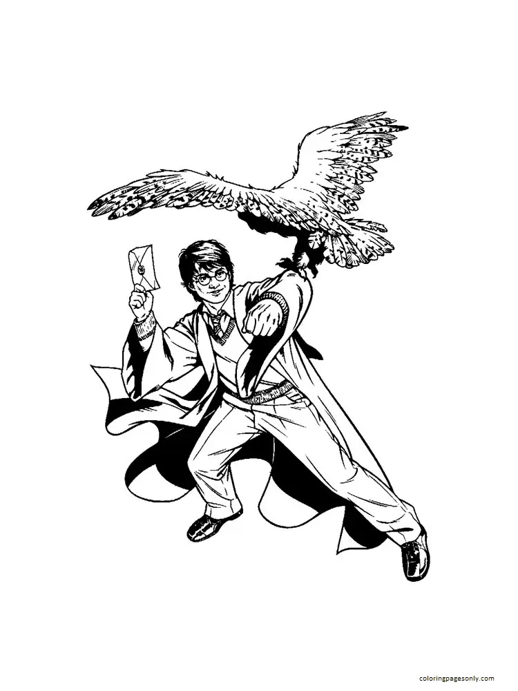 Desenhos de Harry Potter Para Colorir 48