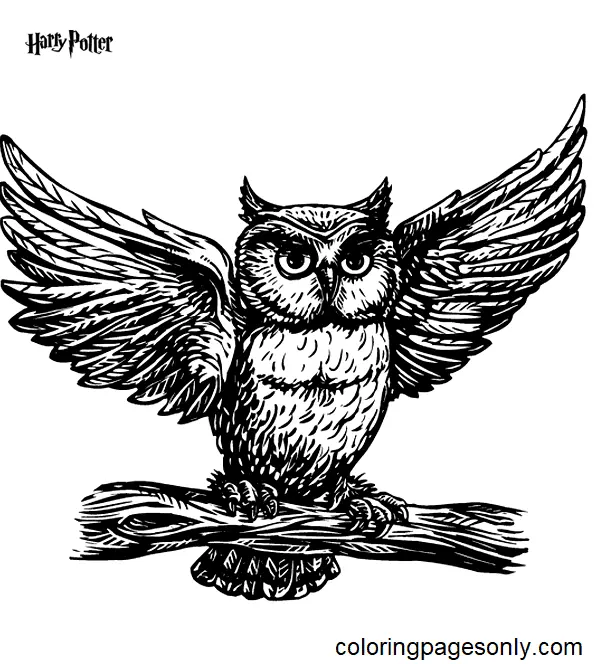 Desenhos de Harry Potter Para Colorir 64