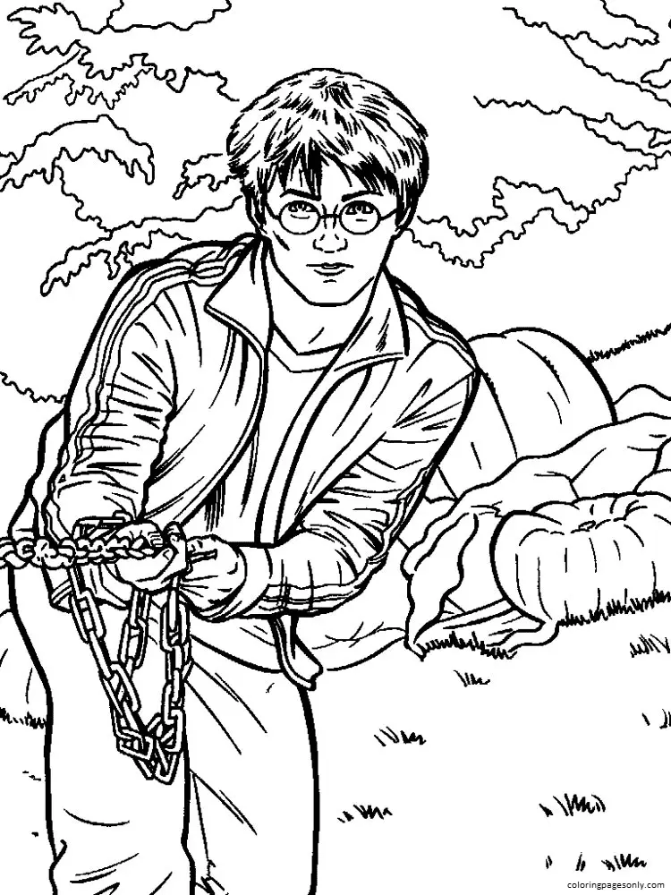 Desenhos de Harry Potter Para Colorir 88
