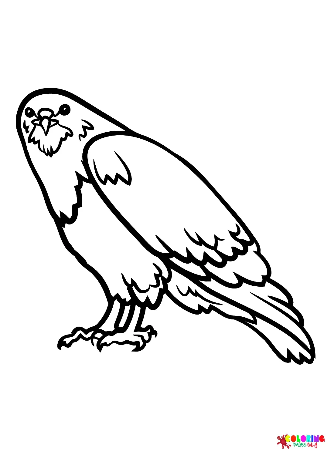 Hawks Ausmalbilder 11