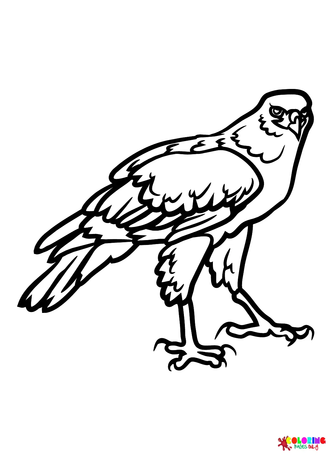 Hawks Ausmalbilder 19