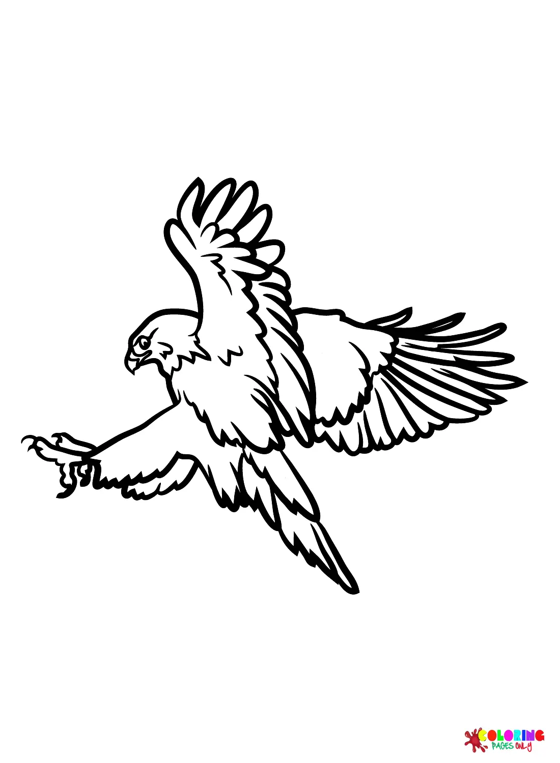 Hawks Ausmalbilder 25