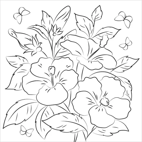 Hibiskus Ausmalbilder 18