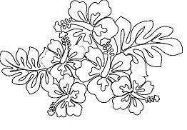 Hibiskus Ausmalbilder 2