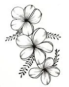 Hibiskus Ausmalbilder 4