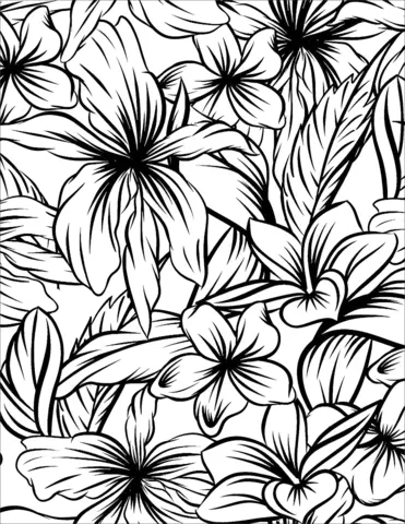 Hibiskus Ausmalbilder 9