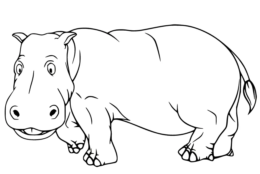 Hippo Coloring Pages 19