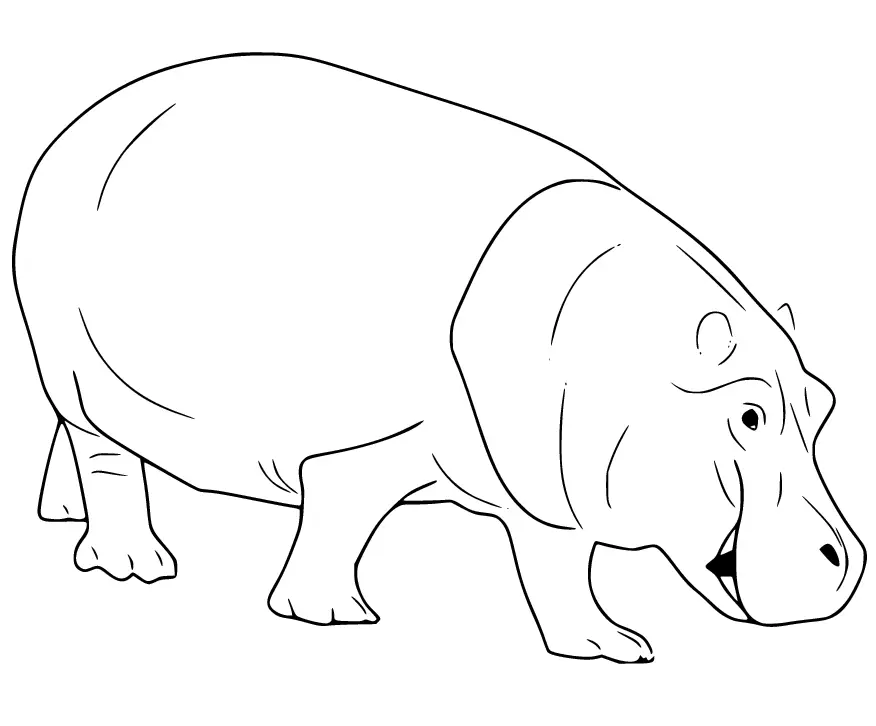 Hippo Coloring Pages 8