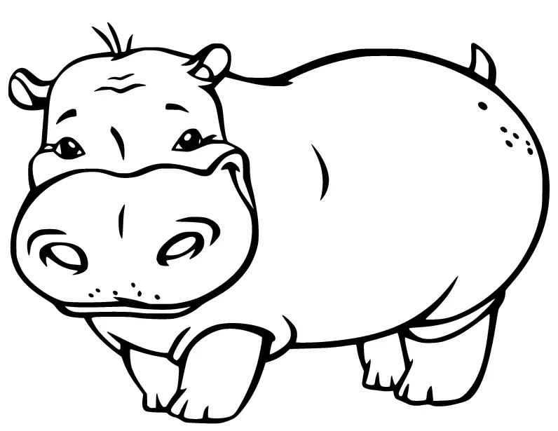 Hippo Coloring Pages 80