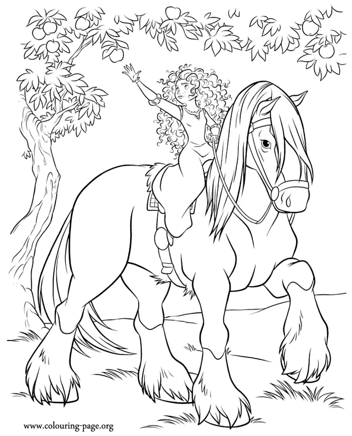 Caballo Y Jinete Para Colorear 24