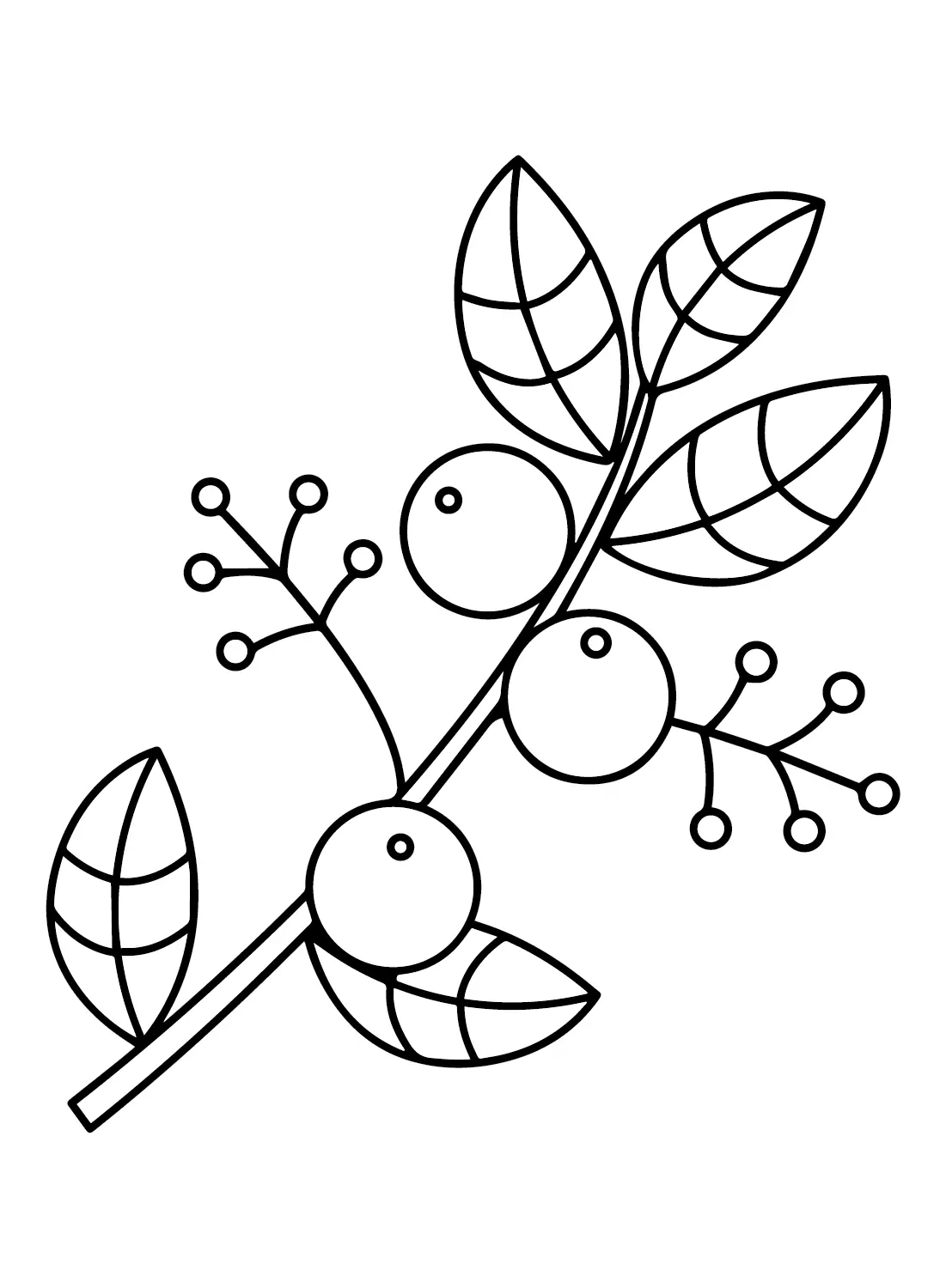Huckleberry Para Colorear 10
