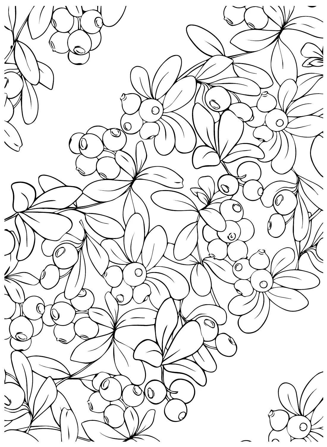 Huckleberry Para Colorear 12