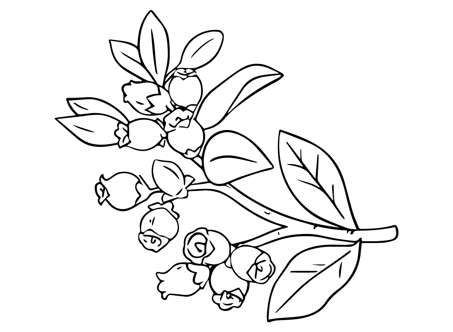 Huckleberry Para Colorear 19