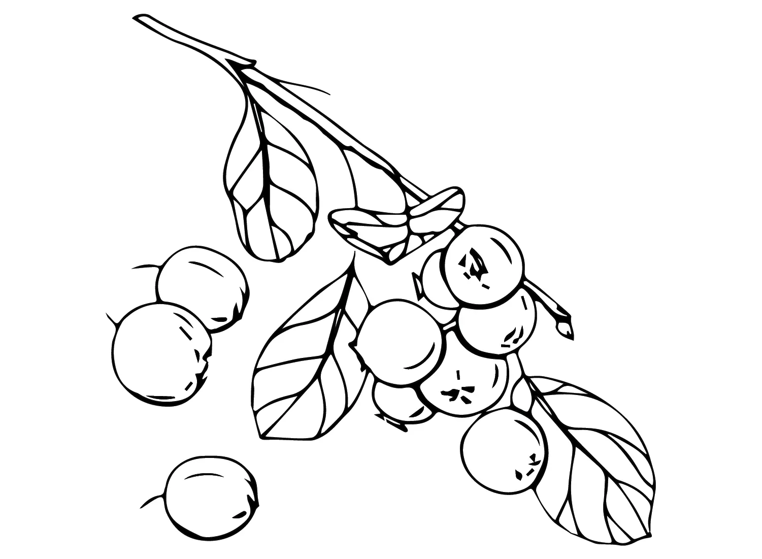 Huckleberry Para Colorear 3