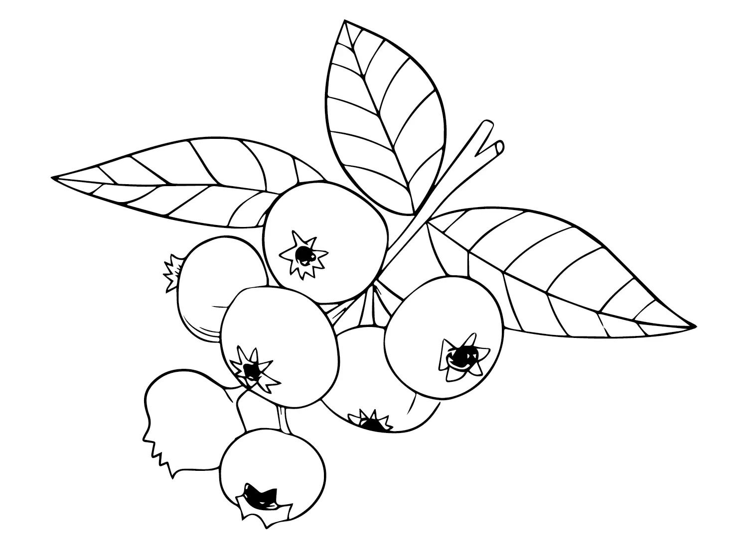 Huckleberry Para Colorear 5