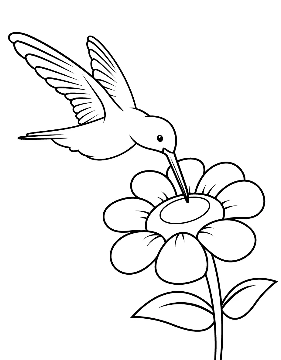 Colibries Para Colorear 4