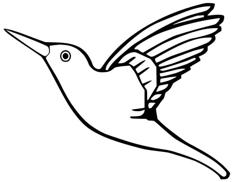 Colibries Para Colorear 45