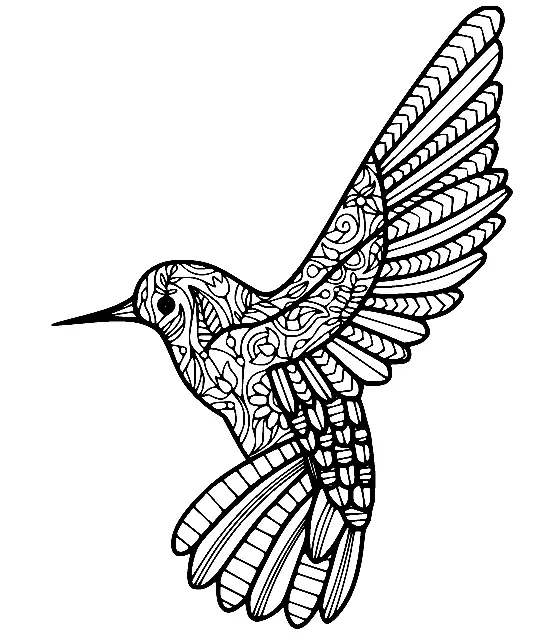 Colibries Para Colorear 6