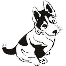 Husky Para Colorear 2