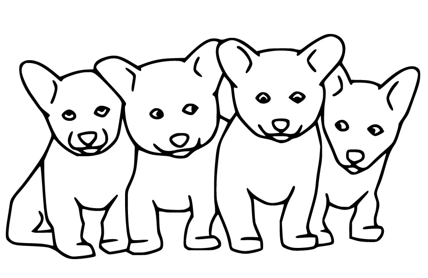 Husky Para Colorear 34