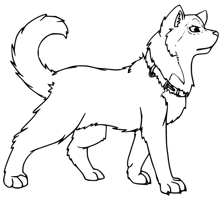 Husky Para Colorear 43