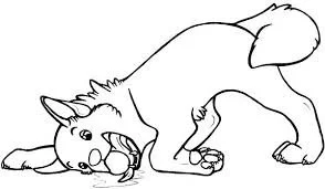 Husky Para Colorear 5