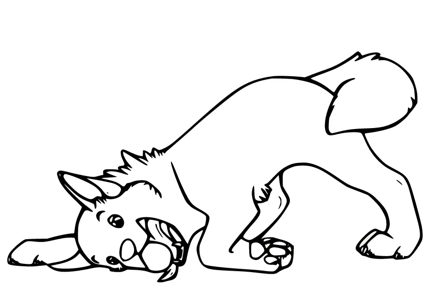 Husky Para Colorear 53
