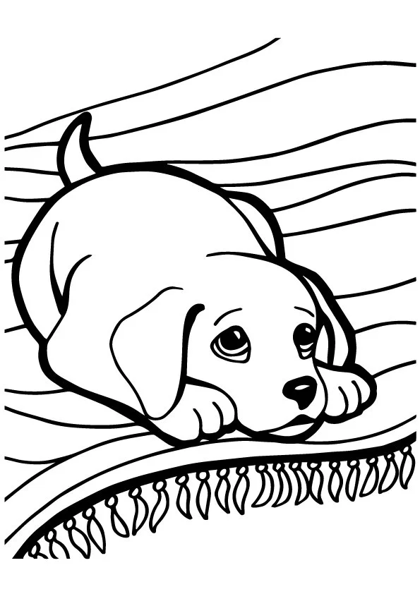 Husky Para Colorear 7