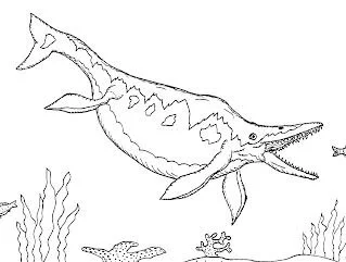 Desenhos de Ictiossauro Para Colorir 10