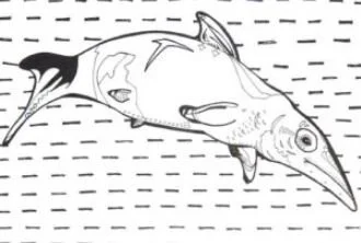 Desenhos de Ictiossauro Para Colorir 9