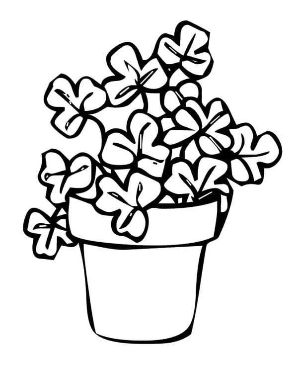 Desenhos de Irlanda Para Colorir 66