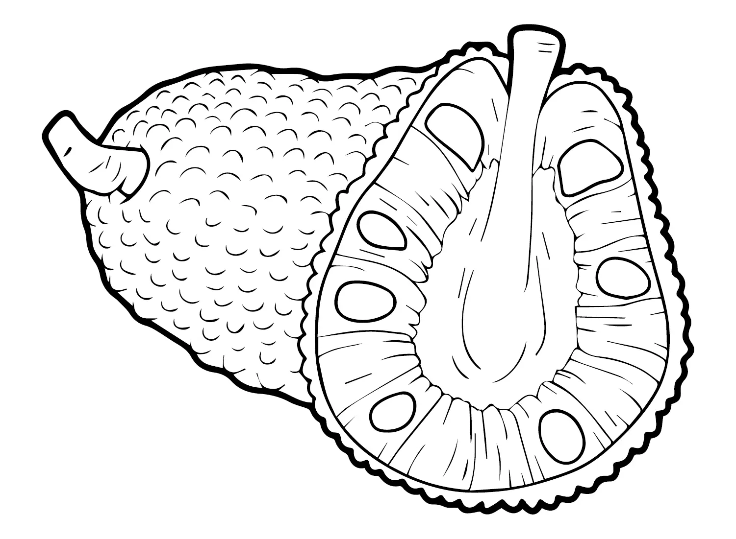 Jackfruit Para Colorear 4