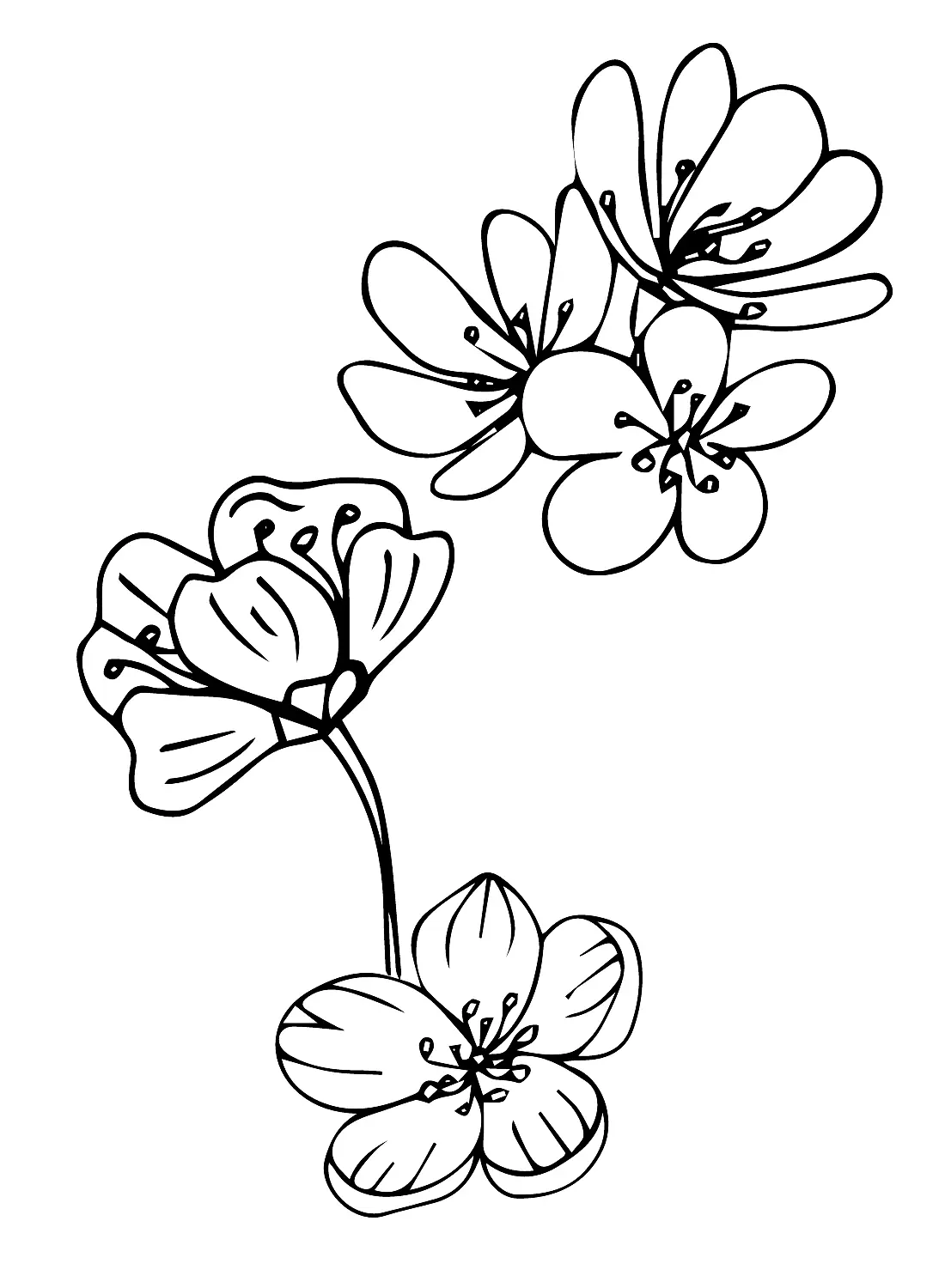 Japon Para Colorear 40