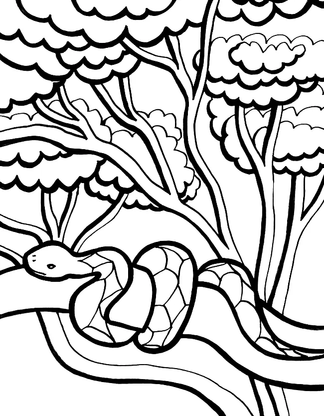 Jungle Coloring Pages 16