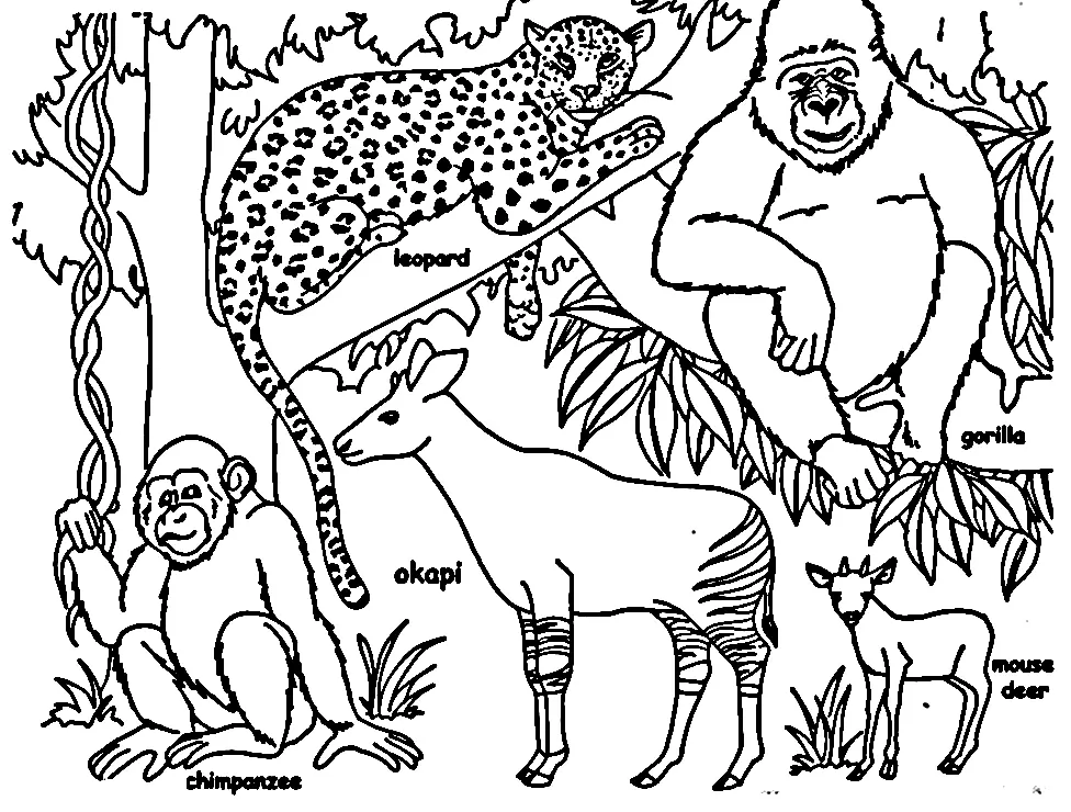 Jungle Coloring Pages 6