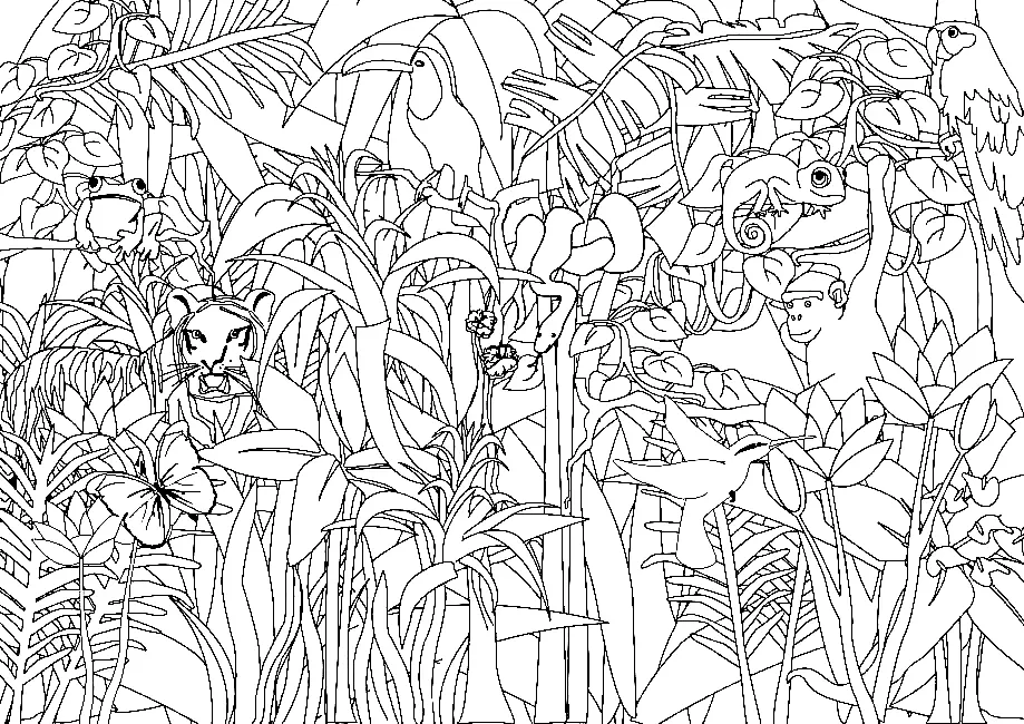 Jungle Coloring Pages 7