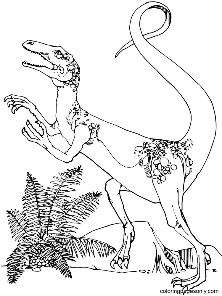 Jurassic World Coloring Pages 78
