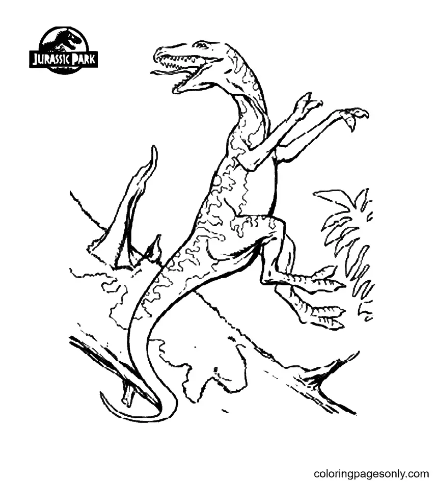 Jurassic World Coloring Pages 89
