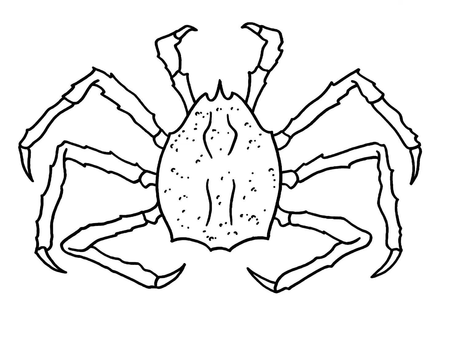 Cangrejo Rey Para Colorear 11
