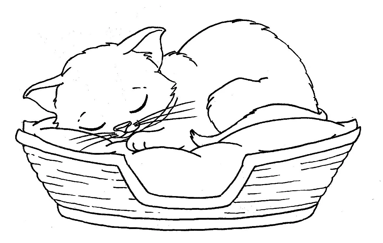 Kittens Coloring Pages 49