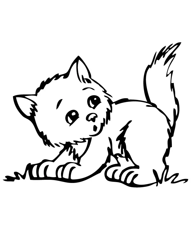 Kittens Coloring Pages 7