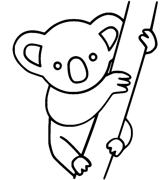 Koala Ausmalbilder 15